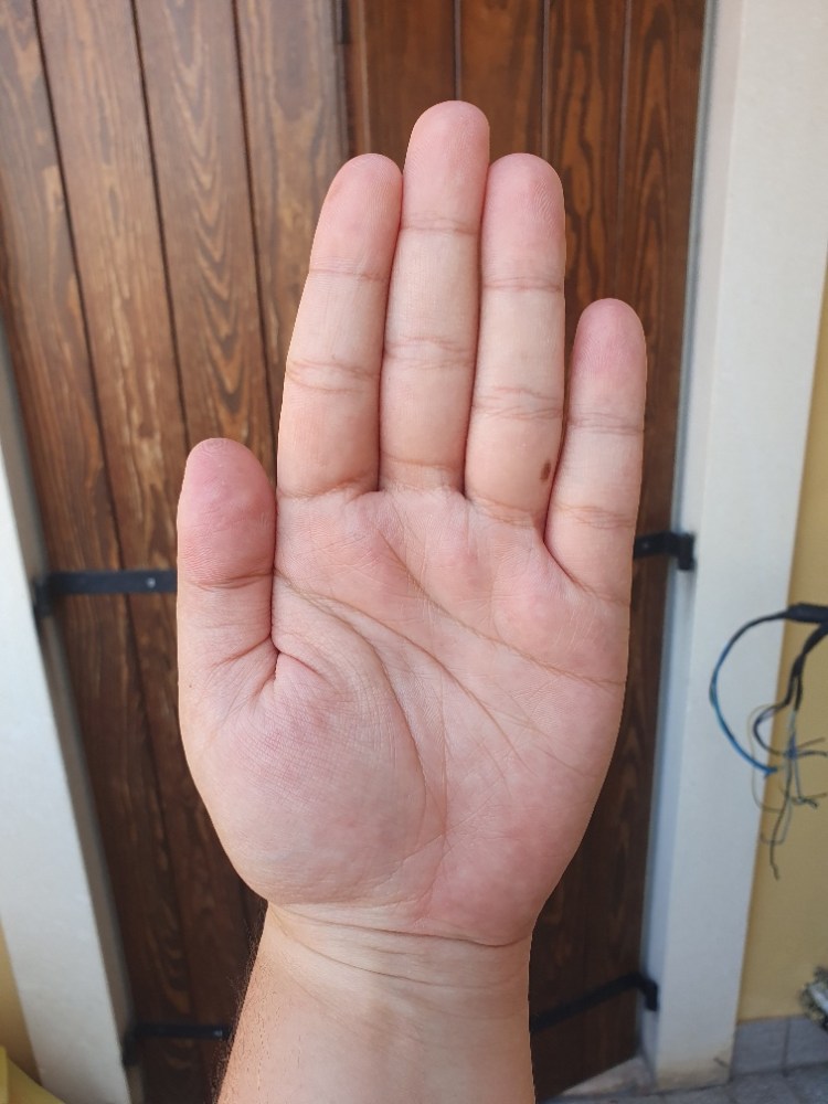 Elemental Hand Types – Sister Palm | Palmistry + Astrology + Psychic